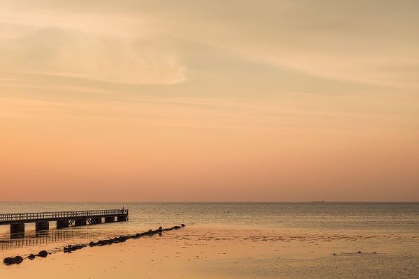 Bibikow, Walter 아티스트의 Sweden-Scania-Malmo-Riberborgs Stranden beach area-pier at sunset작품입니다.